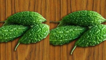 ಅಮೆರಿಕದಲ್ಲಿ ಒಂದು ಕಿಲೋ ಹಾಗಲಕಾಯಿ ಬೆಲೆ ಎಷ್ಟು ಗೊತ್ತಾ?