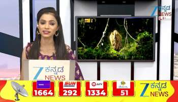 Did DCM DK Shivakumar attempt fail? 