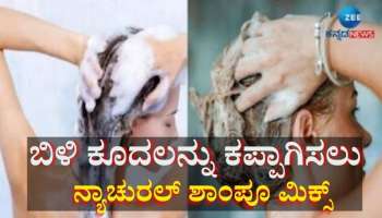 ಈ ನೀರಿನಲ್ಲಿ ಶಾಂಪೂ ಬೆರೆಸಿ ಹೇರ್‌ ವಾಶ್‌ ಮಾಡಿದರೆ ಬಿಳಿ ಕೂದಲು ಗಾಢ ಕಪ್ಪಾಗುತ್ತೆ