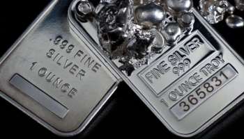 ಚಿನ್ನವನ್ನೇ ಮೀರಿಸಿದ ಬಿಳಿ ಲೋಹ.. ಪೂರೈಕೆ ಕೊರತೆಯಿಂದ ಮೌಲ್ಯ  ಹೆಚ್ಚಳ! ಹೂಡಿಕೆಗೆ ಬೆಸ್ಟ್‌ ಟೈಮ್