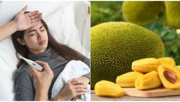 ನಿಮ್ಗೆ ಈ ಆರೋಗ್ಯ ಸಮಸ್ಯೆಗಳಿದ್ದರೆ ಅಪ್ಪಿ ತಪ್ಪಿಯೂ ಹಲಸಿನ ಹಣ್ಣನ್ನ ತಿನ್ನಬೇಡಿ..! ಆರೋಗ್ಯ ಹದಗೆಡುತ್ತೆ 