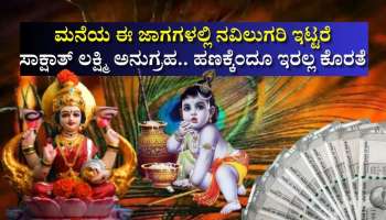 ಮನೆಯ ಈ ಜಾಗಗಳಲ್ಲಿ ಕೃಷ್ಣ ಪ್ರಿಯ ನವಿಲುಗರಿ ಇಟ್ಟರೆ ಸಾಕ್ಷಾತ್‌ ಲಕ್ಷ್ಮಿ ಅನುಗ್ರಹ.. ಹಣಕ್ಕೆಂದೂ ಇರಲ್ಲ ಕೊರತೆ 