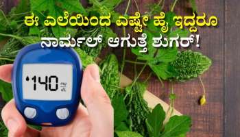 ಈ ಎಲೆಯಿಂದ ಎಷ್ಟೇ ಹೈ ಇದ್ದರೂ ನಾರ್ಮಲ್‌ ಆಗುತ್ತೆ ಶುಗರ್!‌ ಮಧುಮೇಹಿಗಳಿಗೆ ಹೇಳಿಮಾಡಿಸಿದಂತ ಸಂಜೀವಿನಿ ಇದು..