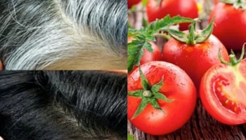  ಬಿಳಿಕೂದಲನ್ನು 15 ನಿಮಿಷದಲ್ಲಿ ಕಡುಕಪ್ಪಾಗಿಸುತ್ತೆ ಅರ್ಧ ತುಂಡು ಟೊಮೆಟೊ! ಬಳಸುವ ವಿಧಾನ ಹೀಗಿರಲಿ.. 