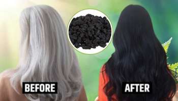 ಹೇರ್‌ ಡೈ ಬೇಡವೇ ಬೇಡ.. ಈ ಪುಟ್ಟ ಹಣ್ಣು ತಿಂದ್ರೆ ಬೇರಿನಿಂದಲೇ ಕಪ್ಪಾಗುತ್ತವೆ ಬಿಳಿಕೂದಲು!