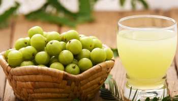 ಈ ಆರೋಗ್ಯ ಸಮಸ್ಯೆ ಇದ್ದವರಿಗೆ ವಿಷವಿದ್ದಂತೆ ಆಮ್ಲಾ! ಅಪ್ಪಿತಪ್ಪಿಯೂ ತಿನ್ಬೇಡಿ.. 