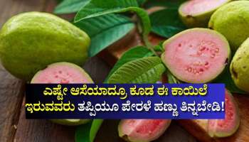 ಎಷ್ಟೇ ಆಸೆಯಾದ್ರೂ ಕೂಡ ಈ ಕಾಯಿಲೆ ಇರುವವರು ತಪ್ಪಿಯೂ ಪೇರಳೆ ಹಣ್ಣು ತಿನ್ನಬೇಡಿ! ವಿಷಕ್ಕೆ ಸಮ..