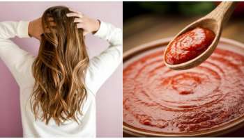 ಈ ಹಣ್ಣು ಒಂದಿದ್ರೆ ಸಾಕು ​​ಕೇವಲ 20 ನಿಮಿಷಗಳಲ್ಲಿ ಬಿಳಿ ಕೂದಲನ್ನು ಕಪ್ಪಾಗಿಸುತ್ತೆ..! ಆರೋಗ್ಯಕ್ಕೂ ಒಳ್ಳೆಯದು