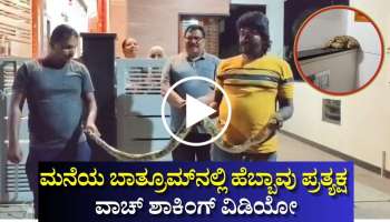 ಮನೆಯ ಬಾತ್ರೂಮ್​ನಲ್ಲಿ ಹೆಬ್ಬಾವು ಪ್ರತ್ಯಕ್ಷ: ವಾಚ್‌ ಶಾಕಿಂಗ್‌ ವಿಡಿಯೋ