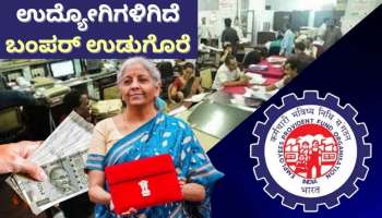 EPF: ಬಜೆಟ್‌ನಿಂದ ಉದ್ಯೋಗಿಗಳಿಗಿದೆ ಬಂಪರ್‌ ಉಡುಗೊರೆ! ಕೇಂದ್ರ ಸರ್ಕಾರದಿಂದ ವೇತನ ಹೆಚ್ಚಳದ ಕುರಿತು ಮಹತ್ವದ ನಿರ್ಧಾರ..
