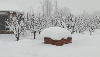 ವಿಶ್ವದ ಎರಡನೇ ಅತ್ಯಂತ ಶೀತಲ ಸ್ಥಳ ಯಾವುದು ಗೊತ್ತಾ? ಅದು ಕೂಡ ಭಾರತದ ಈ ಹಳ್ಳಿಯಲ್ಲಿ..!