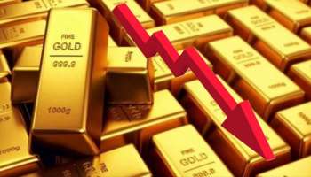 Gold Price: ಬೇಡಿಕೆ ಹೆಚ್ಚಿದೆ ಎಂದು ಚಿನ್ನ ಖರೀದಿಸಬೇಡಿ, ಬೆಲೆ ಏರಿಕೆಯಲ್ಲಿ ದಾಖಲೆ ಬರೆಯುತ್ತಿರುವ ಬಂಗಾರ ಈ ದಿನದಂದೇ ಕುಸಿಯುತ್ತೆ! ತಜ್ಞರಿಂದ ಸಿಕ್ತು ಬಿಗ್‌ ಅಪ್ಡೇಟ್‌  