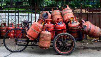 LPG Cylinder Price: ಬಜೆಟ್‌ಗೂ ಮುನ್ನ LPG ಗ್ಯಾಸ್ ಸಿಲಿಂಡರ್ ಬೆಲೆಯಲ್ಲಿ ಮಹತ್ವದ ಬದಲಾವಣೆ! 