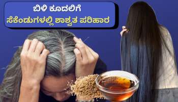 White Hair: ಬಿಳಿ ಕೂದಲಿಗೆ ಸೆಕೆಂಡುಗಳಲ್ಲಿ ಪರಿಹಾರ! ಬೇರಿನಿಂದ ಕಪ್ಪಾಗಿಸೋಕೆ ಈ ಎಣ್ಣೆ ಸಾಕು..