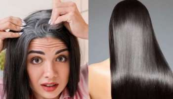 ಹೇರ್‌ ಡೈ ಅಲ್ಲ... ಮನೆಯಲ್ಲಿರುವ ಈ 3 ವಸ್ತುಗಳಿಂದ ತ್ವರಿತವಾಗಿ ಕಪ್ಪಾಗುತ್ತೆ ಬಿಳಿ ಕೂದಲು
