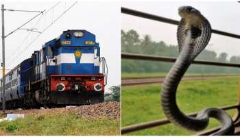 ಈ ರೈಲುಗಳಲ್ಲಿ ಪ್ರಯಾಣಿಸುವಾಗ ಎಚ್ಚರ..! ನಿಮ್ಮ ಸೀಟ್‌ಗಳ ಕೆಳಗೆ ನಾಗರಹಾವುಗಳಿರಬಹುದು..