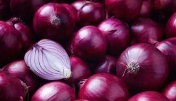 ಈರುಳ್ಳಿಗಳನ್ನು ಕಟ್‌ ಮಾಡುವಾಗ ಕಣ್ಣೀರು ಬರಬಾರದು ಅಂದ್ರೆ ಏನು ಮಾಡಬೇಕು.. ಈ ಎರಡೇ 2 ಅನ್ನು ನೀವು ಮಾಡಿದ್ರೆ ಸಾಕು..!  