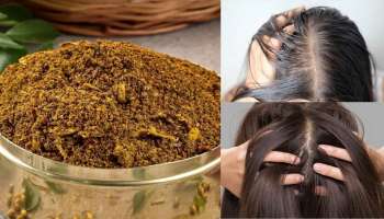 ಬೋಳು ತಲೆಯಲ್ಲೂ ಕೂದಲು ಬೆಳೆಯುವಂತೆ ಮಾಡುವ ಪುಡಿ! ಅನ್ನದ ಜೊತೆ ಬೆರೆಸಿ ತಿನ್ನಿ ಸಾಕು..