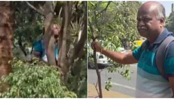 ವಿಚಿತ್ರ ಪ್ರತಿಭಟನೆಗೆ ಸಾಕ್ಷಿಯಾದ ಶಕ್ತಿಸೌಧ : ಮರ ಕಡಿದು ಅಕ್ರೋಶ ಹೊರಹಾಕಿದ ರೈತ.. ಅಸಲಿಗೆ ಆಗಿದ್ದೇನು..?