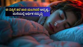 ಮಲಗುವಾಗ ಈ ದಿಕ್ಕಿಗೆ ತಲೆ ಹಾಕಿ ಮಲಗಿದರೆ ಅದೃಷ್ಟ.. ಮನೆಯಲ್ಲಿ ಆರ್ಥಿಕ ಸಮೃದ್ಧಿ