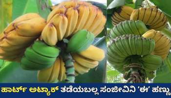 ಹೃದಯದ ಸಮಸ್ಯೆಗಳಿಗೆ ಪವಾಡ! ವಾರಕ್ಕೊಮ್ಮೆ ಈ ಹಣ್ಣು ತಿಂದ್ರೂ ಹಾರ್ಟ್‌ ಅಟ್ಯಾಕ್‌ ಆಗುವ ಸಾಧ್ಯತೆ ಕಡಿಮೆ...