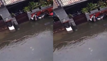  Viral Video: ನಡು ರಸ್ತೆಯಲ್ಲಿ ಈಜುತ್ತಿರುವ 16 ಅಡಿ ಉದ್ದದ ಹಾವು..! ದೃಶ್ಯ ನೋಡಿ ಬೆಚ್ಚಿ ಬಿದ್ದ ಜನತೆ..! 