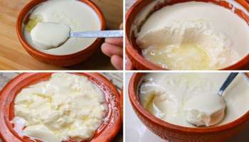 ಮಧುಮೇಹಕ್ಕೆ ಮೊಸರು ಸಂಜೀವಿನಿ! ಔಷಧಿಯಿಲ್ಲದೆ ಶುಗರ್‌ ನಿಯಂತ್ರಿಸಲು ಹೀಗೆ ತಿನ್ನಿ..