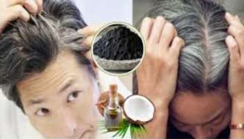 ಹೇರ್‌ ಡೈ ಬೇಡವೇ ಬೇಡ.. ಕಸವೆಂದು ಬಿಸಾಡುವ ಈ ವಸ್ತುವನ್ನು ತೆಂಗಿನೆಣ್ಣೆಯಲ್ಲಿ ಬೆರೆಸಿ ಹಚ್ಚಿದರೆ ಬಿಳಿ ಕೂದಲು ಶಾಶ್ವತ ಕಪ್ಪಾಗುತ್ತೆ!