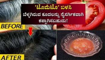 ಹೇರ್‌ ಡೈ ಅಲ್ಲ.. 'ಟೊಮೆಟೊ' ಬಳಸಿ ಬೆಳ್ಳಗಿರುವ ಕೂದಲನ್ನು ನೈಸರ್ಗಿಕವಾಗಿ ಕಪ್ಪಾಗಿಸಬಹುದು! ಹೇಗ್‌ ಗೊತ್ತಾ?