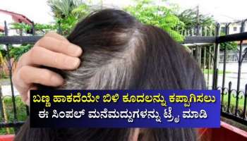 ಹೆನ್ನಾ, ಹೇರ್‌ ಡೈ ಬೇಕಿಲ್ಲ.. ಬಣ್ಣ ಹಾಕದೆಯೇ ಬೆಳ್ಳಗಿರುವ ಕೂದಲನ್ನು ಕಪ್ಪಾಗಿಸಲು ಇವುಗಳನ್ನು ಬಳಸಿ ನೋಡಿ
