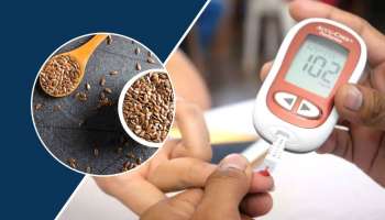 ಈ ಪುಟ್ಟ ಬೀಜಗಳನ್ನು ನೀರಲ್ಲಿ ನೆನೆಸಿ ತಿಂದ್ರೆ ಸದಾ ನಾರ್ಮಲ್‌ ಇರುತ್ತೆ ಶುಗರ್!‌ ಮತ್ತೆ ಯಾವತ್ತೂ ಹೆಚ್ಚಾಗಲ್ಲ.. 