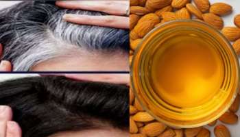 ಹೇರ್‌ ಡೈ ಅಲ್ಲ, ಬಾದಾಮಿ ಎಣ್ಣೆಯಲ್ಲಿ ಈ ರಸ ಬೆರೆಸಿ ಹಚ್ಚಿದ್ರೆ ಬುಡದಿಂದಲೂ ಕಪ್ಪಾಗುತ್ತೆ ಬಿಳಿ ಕೂದಲು