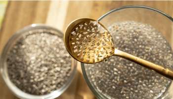 ನಿಮ್ಮ ಹಿತ್ತಲಲ್ಲಿ ಬೆಳೆಯುವ ಈ ಗಿಡದ ಬೀಜಗಳೇ ಮಧುಮೇಹಕ್ಕೆ ರಾಮಬಾಣ! ನೀರಿನಲ್ಲಿ ಬೆರೆಸಿ ಕುಡಿದರೆ ಮತ್ತೆಂದೂ ಹೆಚ್ಚಾಗಲ್ಲ ಶುಗರ್‌.. 