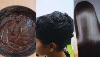 ಮೆಹಂದಿಯಲ್ಲಿ ಈ ಪುಡಿ ಬೆರೆಸಿ ಹಚ್ಚಿದ್ರೆ ಒಂದೇ ಬಾರಿಗೆ ಕಡು ಕಪ್ಪಾಗುತ್ತೆ ಬಿಳಿ ಕೂದಲು