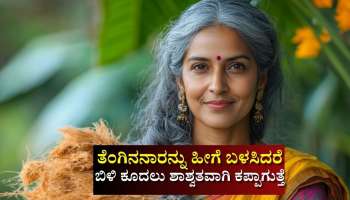 ತೆಂಗಿನನಾರನ್ನು ಅಲೋವೆರಾ ಜೆಲ್‌ ಜೊತೆಗೆ ಹೀಗೆ ಬಳಸಿದರೆ ಬಿಳಿ ಕೂದಲು ಶಾಶ್ವತವಾಗಿ ಕಪ್ಪಾಗುತ್ತೆ