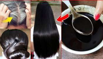 ತೆಂಗಿನೆಣ್ಣೆಯಲ್ಲಿ ಈ ಪುಟ್ಟ ಕಾಳು ಬೆರೆಸಿ ಹಚ್ಚಿದ್ರೆ ಕಡು ಕಪ್ಪಾಗುತ್ತವೆ ಬಿಳಿಕೂದಲು! ಹೇರ್‌ ಡೈ ಅವಶ್ಯಕತೆಯೇ ಇರಲ್ಲ..