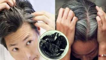 ಹೇರ್‌ ಡೈ ಬದಲು.. ಹರಳೆಣ್ಣೆಗೆ ಈ ಪುಟ್ಟ ಕಾಳು ಬೆರೆಸಿ ಹಚ್ಚಿದ್ರೆ ನಿಮಿಷದಲ್ಲಿ ಕಪ್ಪಾಗುತ್ತವೆ ಬಿಳಿಕೂದಲು!