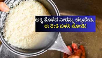 Benefits of Rice Water: ಅಕ್ಕಿ ತೊಳೆದ ನೀರನ್ನು ಚೆಲ್ಲಬೇಡಿ.. ಈ ರೀತಿ ಬಳಸಿ ಇದರ ಅದ್ಭುತ ಪ್ರಯೋಜನಗಳನ್ನು ನೀವೇ ನೋಡಿ!