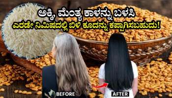 ಹೇರ್‌ ಡೈ ಬೇಡವೇ ಬೇಡ.. ಅಕ್ಕಿ, ಮೆಂತ್ಯ ಕಾಳನ್ನು ಬಳಸಿ ಎರಡೇ ನಿಮಿಷದಲ್ಲಿ ಬಿಳಿ ಕೂದನ್ನು ಕಪ್ಪಾಗಿಸಬಹುದು! ಒಮ್ಮೆ ನೀವು ಟ್ರೈ ಮಾಡಿ