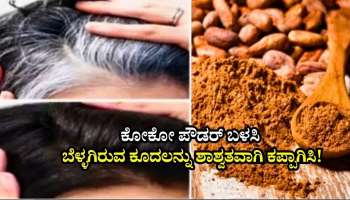 ಹೇರ್‌ ಡೈಗೆ ಹೇಳಿ ಗುಡ್ ಬೈ.. ಕೋಕೋ ಪೌಡರ್‌ ಬಳಸಿ ಬೆಳ್ಳಗಿರುವ ಕೂದಲನ್ನು ಶಾಶ್ವತವಾಗಿ ಕಪ್ಪಾಗಿಸಿ!