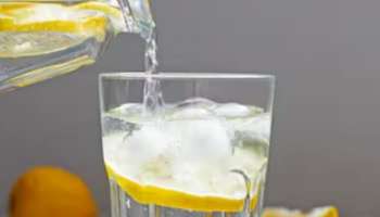 ಈ ಜ್ಯೂಸ್‌ಗಳು ನಿಮ್ಮನ್ನ ರಿಫ್ರೆಶ್‌ ಮಾಡುತ್ತವೆ.. ಆಫೀಸ್‌ಗೆ ಸೇರಿ ಇನ್ಯಾವುದೇ ಕೆಲಸಕ್ಕೆ ಹೋಗುವಾಗ ಜೊತೆಯಲ್ಲಿರಲಿ!