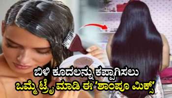 ನೀವು ಬಳಸುವ ಶಾಂಪೂವಿನಲ್ಲಿ ಈ ವಸ್ತುಗಳನ್ನು ಮಿಕ್ಸ್‌ ಮಾಡಿ ಬಳಸಿದ್ರೆ ನ್ಯಾಚುರಲ್‌ ಆಗಿ ಕಪ್ಪಾಗುತ್ತೆ ಬಿಳಿ ಕೂದಲು