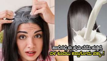 ಹೇರ್‌ ಡೈ ಬೇಡ.. ಹಾಲಿನಲ್ಲಿ ಈ ಪುಡಿ ಬೆರೆಸಿ ಹಚ್ಚಿದ್ರೆ ಕೆಲವೇ ಕ್ಷಣದಲ್ಲಿ ಕಪ್ಪಾಗುತ್ತೆ ಬಿಳಿ ಕೂದಲು.. ನೀವೂ ಒಮ್ಮೆ ಟ್ರೈ ಮಾಡಿ