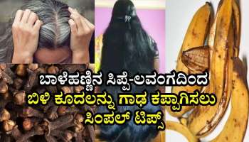 ಹೇರ್‌ ಡೈ ಬೇಡ.. ಬಿಳಿ ಕೂದಲನ್ನು ಗಾಢ ಕಪ್ಪಾಗಿಸಲು ಬಾಳೆಹಣ್ಣಿನ ಸಿಪ್ಪೆ-ಲವಂಗದಿಂದ ತಯಾರಿಸಿದ ಈ ಮನೆಮದ್ದನ್ನು ಹಚ್ಚಿ ನೋಡಿ..