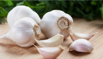 ಬೆಳ್ಳುಳ್ಳಿ ಸಣ್ಣದಾದರೂ ಶಕ್ತಿಶಾಲಿ ವಿಟಮಿನ್‌ಗಳ ಭಂಡಾರ