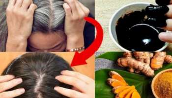 ಅರಿಶಿನವನ್ನು ಹೀಗೆ ಬಳಸಿ ನೋಡಿ.. ಎರಡೇ ನಿಮಿಷದಲ್ಲಿ ಕಪ್ಪಾಗುತ್ತೆ ಬಿಳಿ ಕೂದಲು!