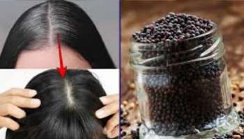 ಈ ಪುಟ್ಟ ಕಾಳಿನಲ್ಲಿ ಸಾಸಿವೆ ಎಣ್ಣೆ ಬೆರೆಸಿ ಕೂದಲಿಗೆ ಹಚ್ಚಿದ್ರೆ ಕೂಡಲೇ ಕಪ್ಪಾಗುತ್ತೆ ಬಿಳಿ ಕೂದಲು!