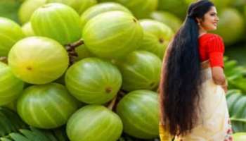 ಬಿಳಿ ಕೂದಲಿಗೆ ಆಮ್ಲಾ ಹೇರ್‌ ಡೈ: ಈ ಮನೆಮದ್ದನ್ನು ಒಮ್ಮೆ ಬಳಸಿದರೂ ಕೂದಲು ಕಪ್ಪಾಗೋದು ಪಕ್ಕಾ!