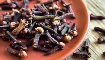 Clove Side Effects : ಲವಂಗ ಸೇವಿಸುವುದು ಲಾಭ ಅಷ್ಟೇ ಅಲ್ಲ ಆರೋಗ್ಯಕ್ಕೆ ಹಾನಿ ಕೂಡ ಇದೆ! 