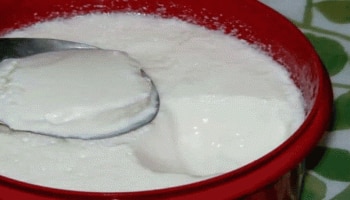 Curd Benefits: ಉತ್ತಮ ಆರೋಗ್ಯಕ್ಕಾಗಿ ನಿತ್ಯ ಸೇವಿಸಿ ಒಂದು ಕಪ್ ಮೊಸರು 